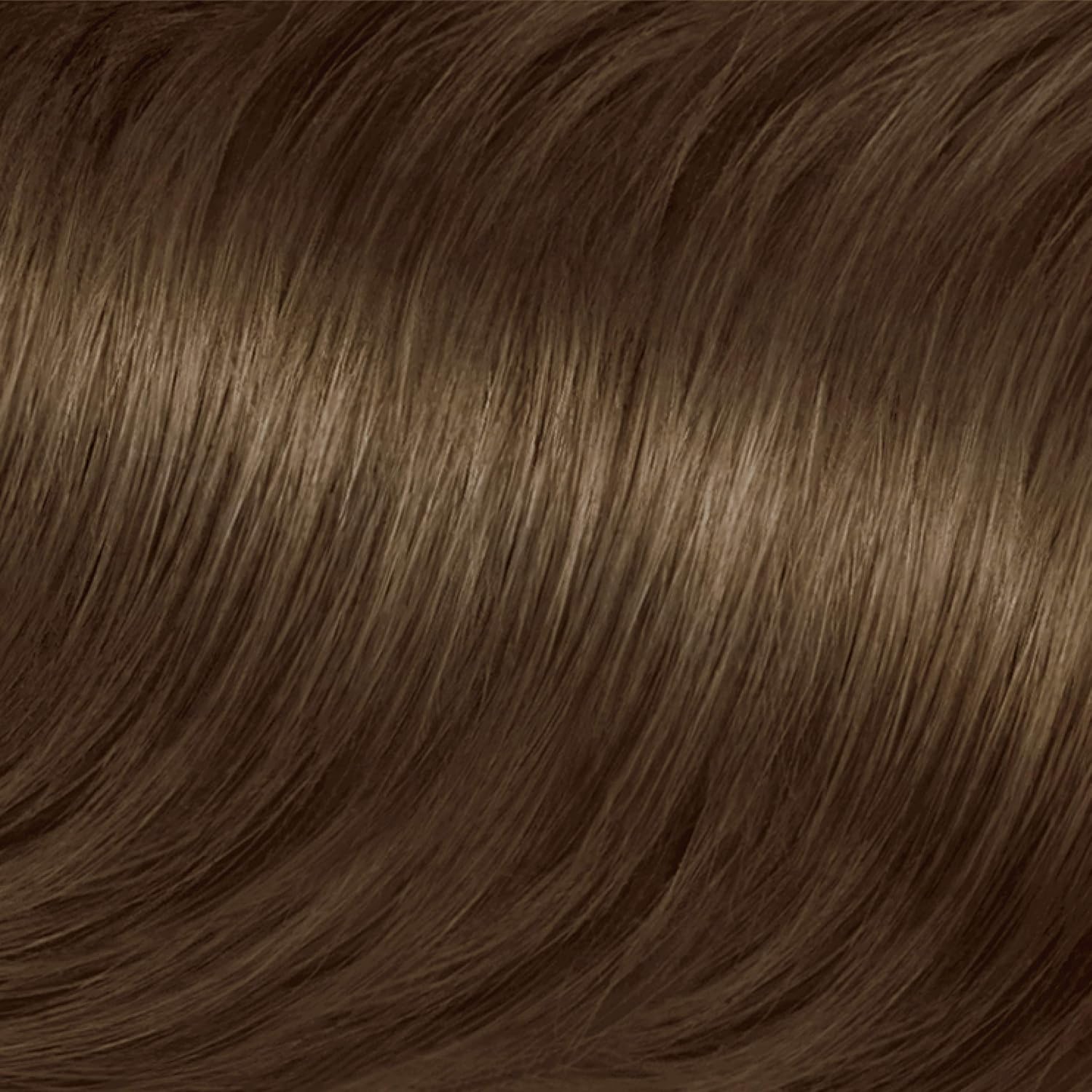 Clairol Nice'n Easy Original Permanent Hair Color, 6 Light Brown, 3 Count : Chemical Hair Dyes : Beauty