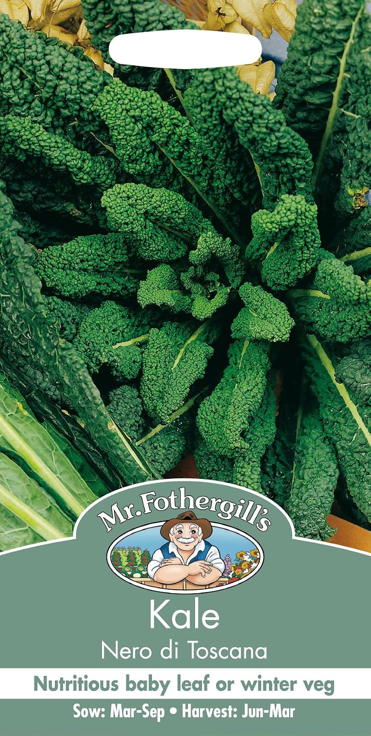Mr Fothergill's Kale Nero Di Toscana, Mixed