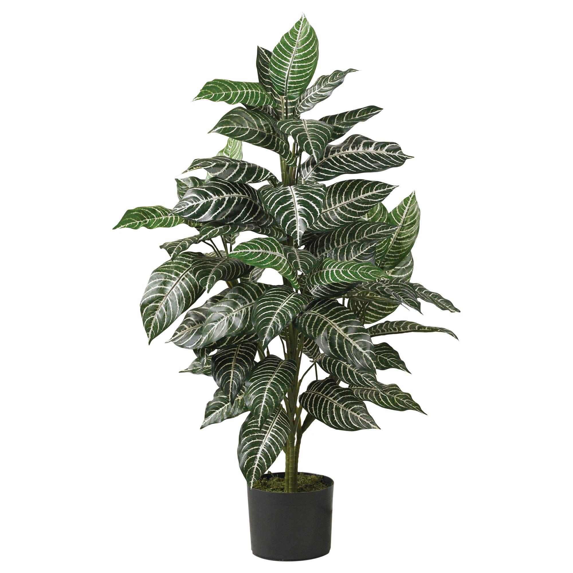 Photo 1 of **SIMILAR**Nearly Natural 3ft Zebra Silk Plant