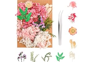 QSCFKL Real Dried Flowers, Natural Dried Flowers Mixed,Natural Pressed Flowers Decorative Dried Flowers for DIY Candle Resin Jewelry Nail Pendant Crafts Making (Pink Series 2)