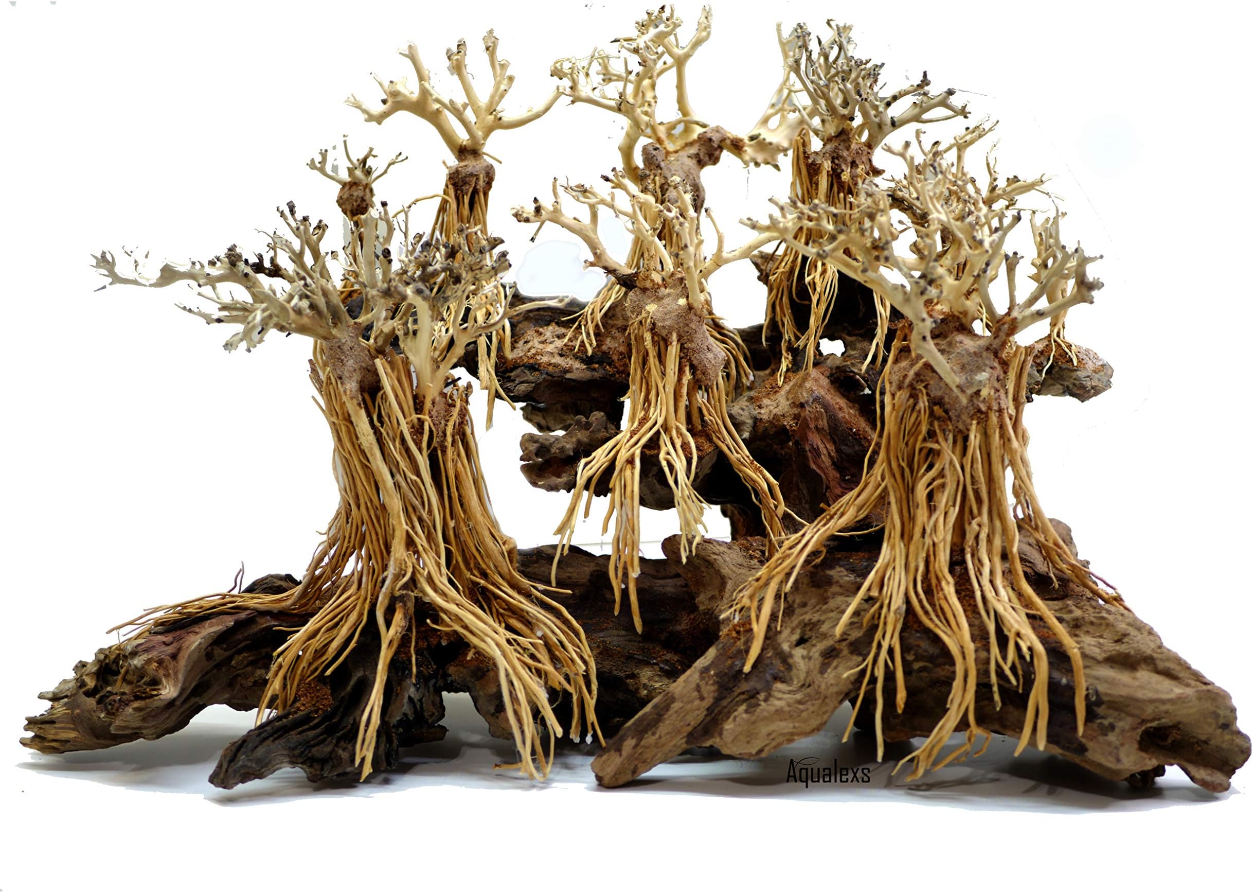 Aqualexs Aquarium Bonsai Driftwood