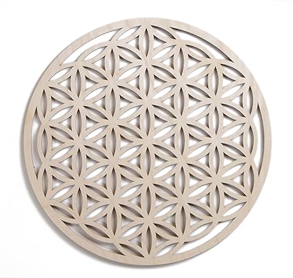 Image result for flower of life