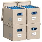 DYWMM Hanging File Box with Lid, Set of 4 Filing