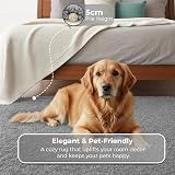 BPIL Silver 160x230cm 5cm Thick Shaggy Rug Modern Living Room Carpet view 6