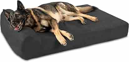 cheap dog beds amazon