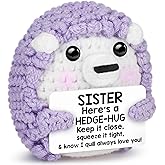 Sensi Blue Valentines Galentines Day Gifts for Sister, Funny Crochet Hedgehog Mothers Day Birthday Easter Basket Stuffers from Brother, Unique Soul Unbiological Sister In Law Present, I Love You Decor