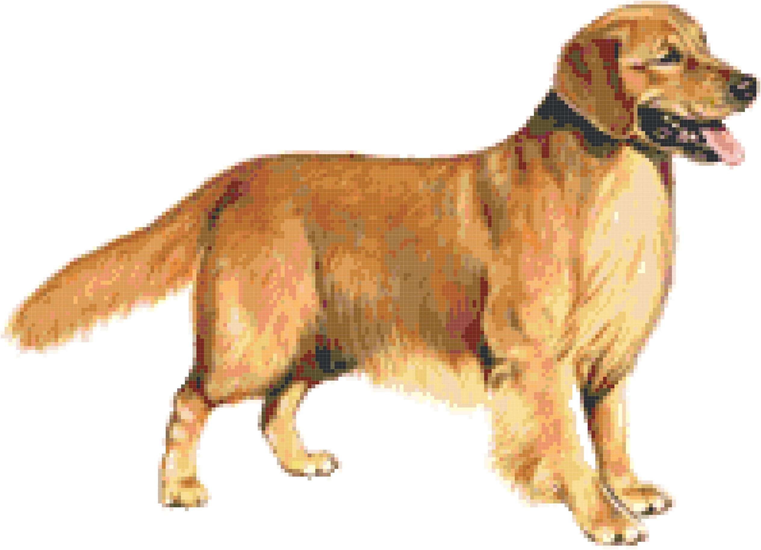 Golden Retriever Dog Counted Cross Stitch Pattern