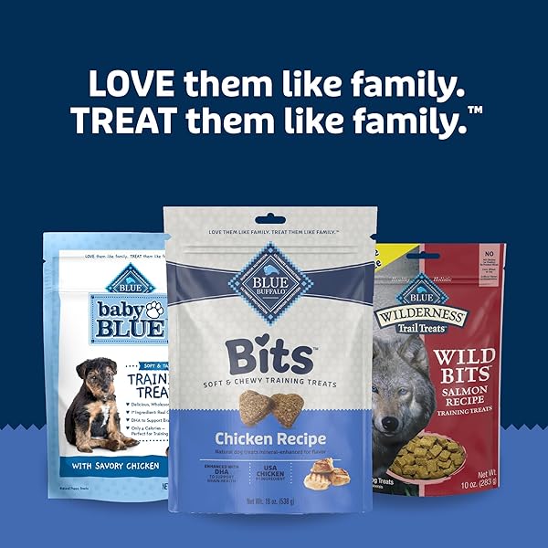 BLUE BUFFALO BITS SOFT DOG TREATS FOR TRAINING, MADE WITH NATURAL INGREDIENTS & ENHANCED WITH DHA, CHICKEN RECIPE, 19-OZ BAG