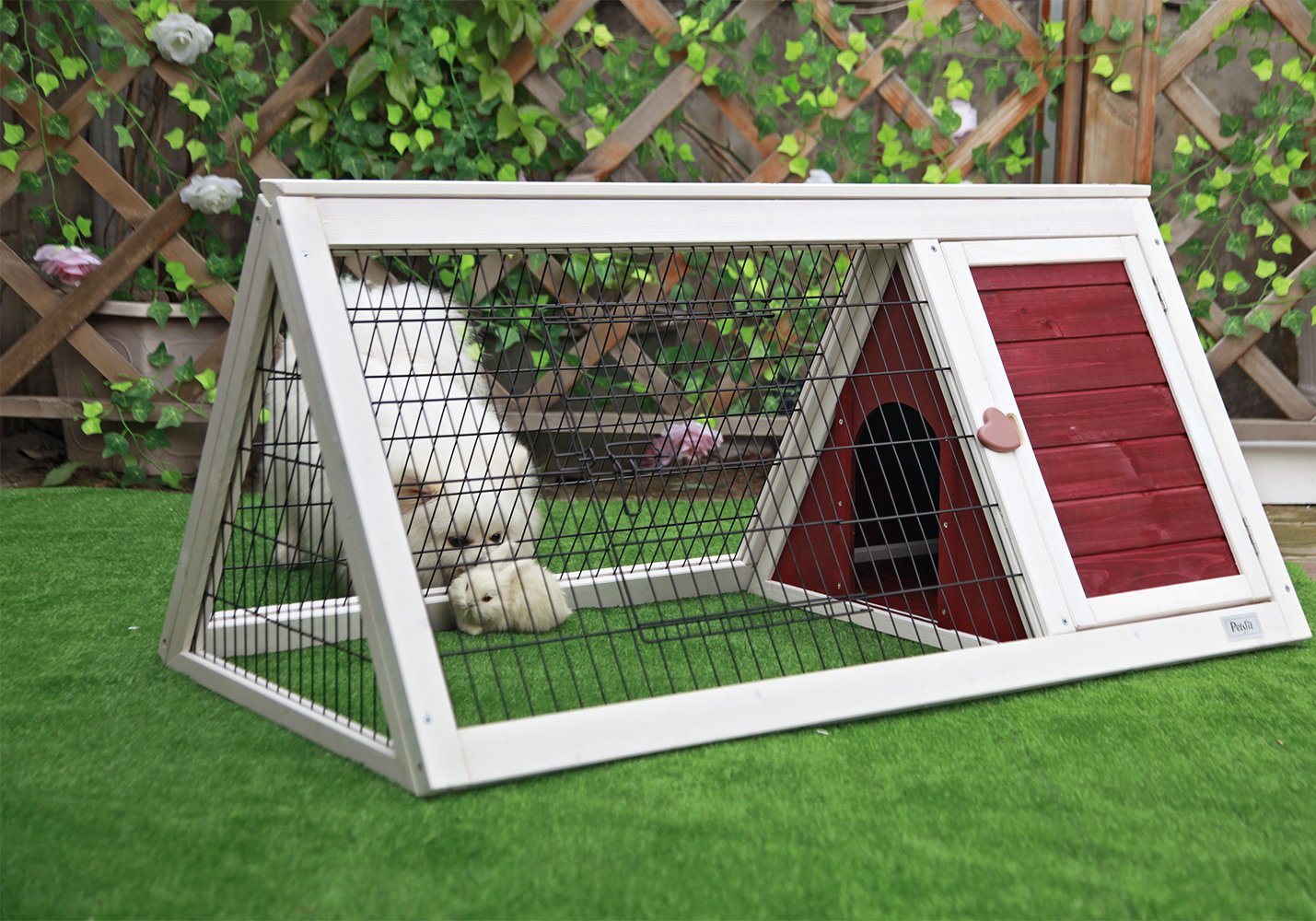 triangle guinea pig run