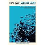 Ocean of Sound: Ambient sound and radical listening in the age of communication