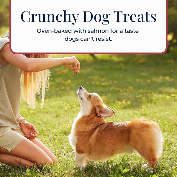 BLUE BUFFALO BASICS CRUNCHY DOG BISCUITS FOR SKIN & STOMACH CARE, LIMITED INGREDIENT DIET DOG TREATS, SALMON & POTATO RECIPE, 6-OZ. BAG