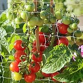 Trellis Netting, PDGROW Garden Plant Trellis Netting, 6 x 30 ft Heavy Duty Garden Trellis Netting, Outdoor Grow Net for Vines, Fruits, Vegetables, Grapes, Beans,Peas, 1 Pack