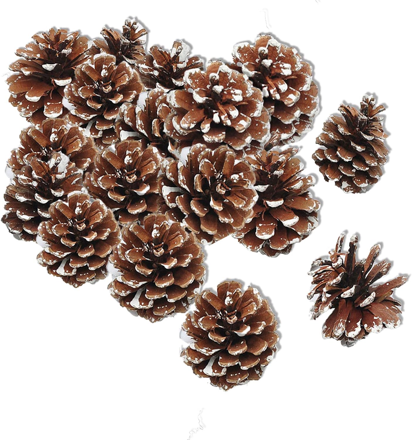GuoJi 18 Pcs Pine Cone Sets, Christmas Snowflake Pine Cone