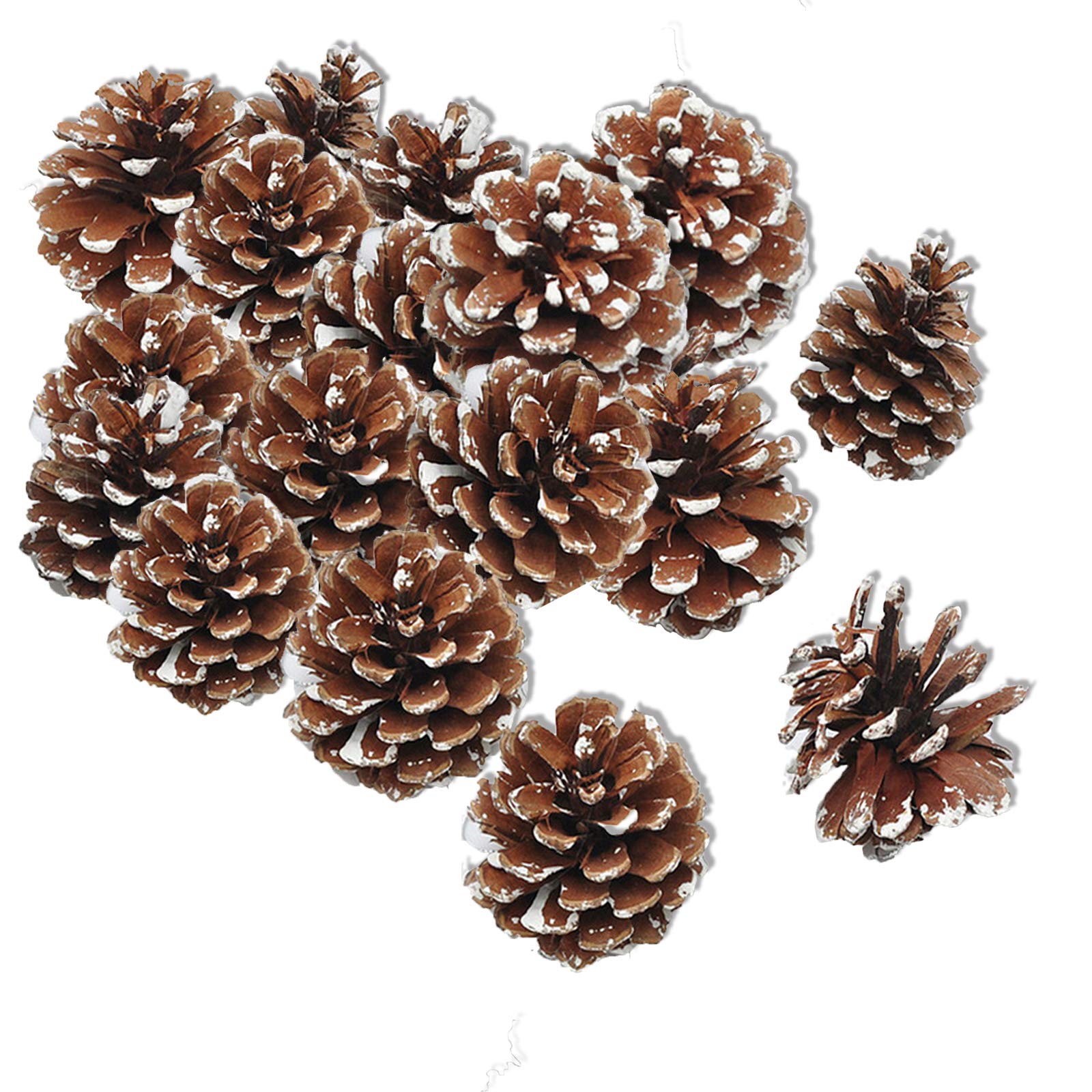 Christmas Pine Cones, Rustic Thanksgiving Natural Pinecones Bulk Ornaments with String for DIY Crafts Home Decorations Christmas and Fall Wedding Decor 18 PCS