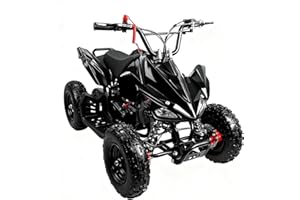 NAKTO Kids Gas ATV, 50CC 2-Stroke Mini Gas 4 Wheeler for Kids with Front & Rear Disc Brake, with Speed Control Weight Support Up to 300 LBS(Winnie)