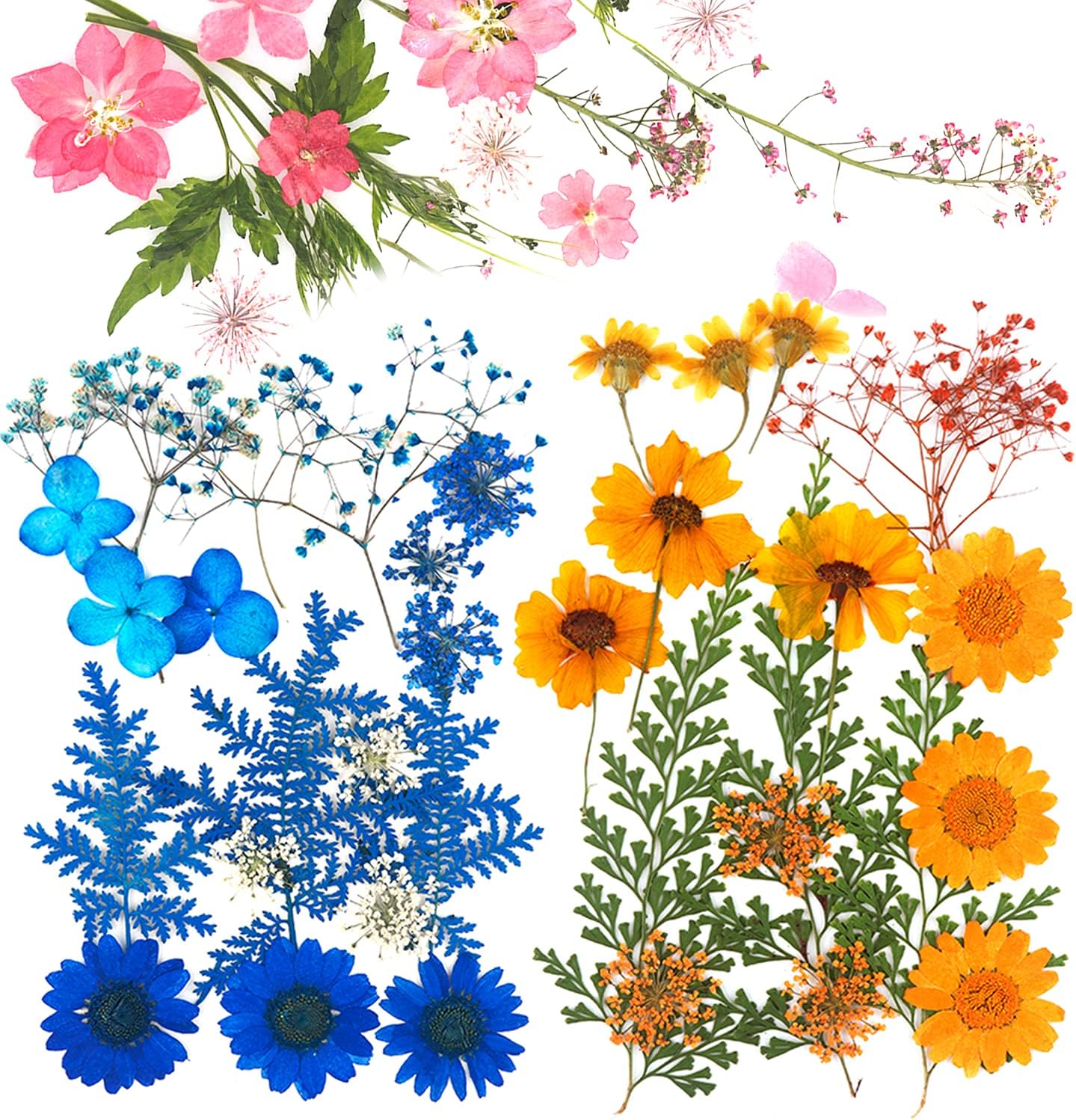 Amazon Com Dried Flowers For Resin Dried Pressed Flowers Multicolor Pure Dry Flowers Leaves Patels For Diy Resin Jewelry Bookmark Crafts Making Art Floral Decors