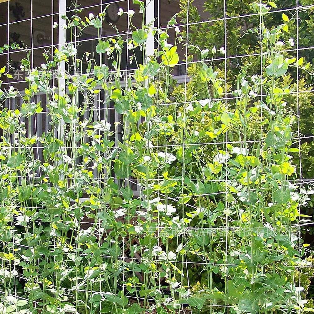 Ploufer Red de Enrejado de Plantas - 1.67 x 5M/1.67 x 10M Hidra de ...