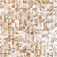 KASARO Peel and Stick Backsplash Shell Tiles, Mother of Pearl Mosaic Self Adhesive Tiles for Kitchen Wall Bathroom Bedroom Decor, Colorful, 10-Sheet