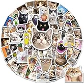 YTSQLER 200 PCS Cat Stickers Pack Cat Meme Sticker for Teens Adults Cute Funny Decals for Laptop Water Bottle Guitar Phone Case Journaling Scrapbooking Vinyl Decal