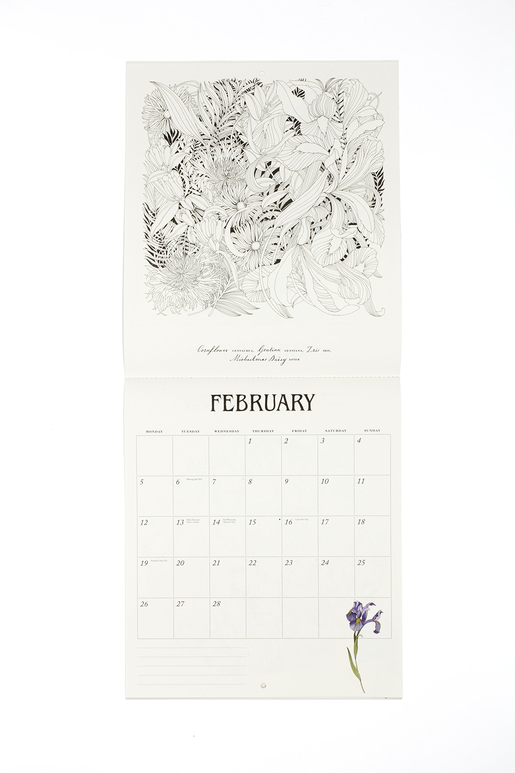Floribunda 2018 Colouring Calendar - 