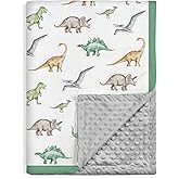 Dinosaurs Blanket for Boys - 30 x 40 Minky Kid Blankets Gift for Kids on Christmas Birthday