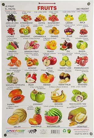 Amazon Com Spectrum Pre School Kids Learning Laminated Educational Fruits Name Wall Chart Industrial Scientific