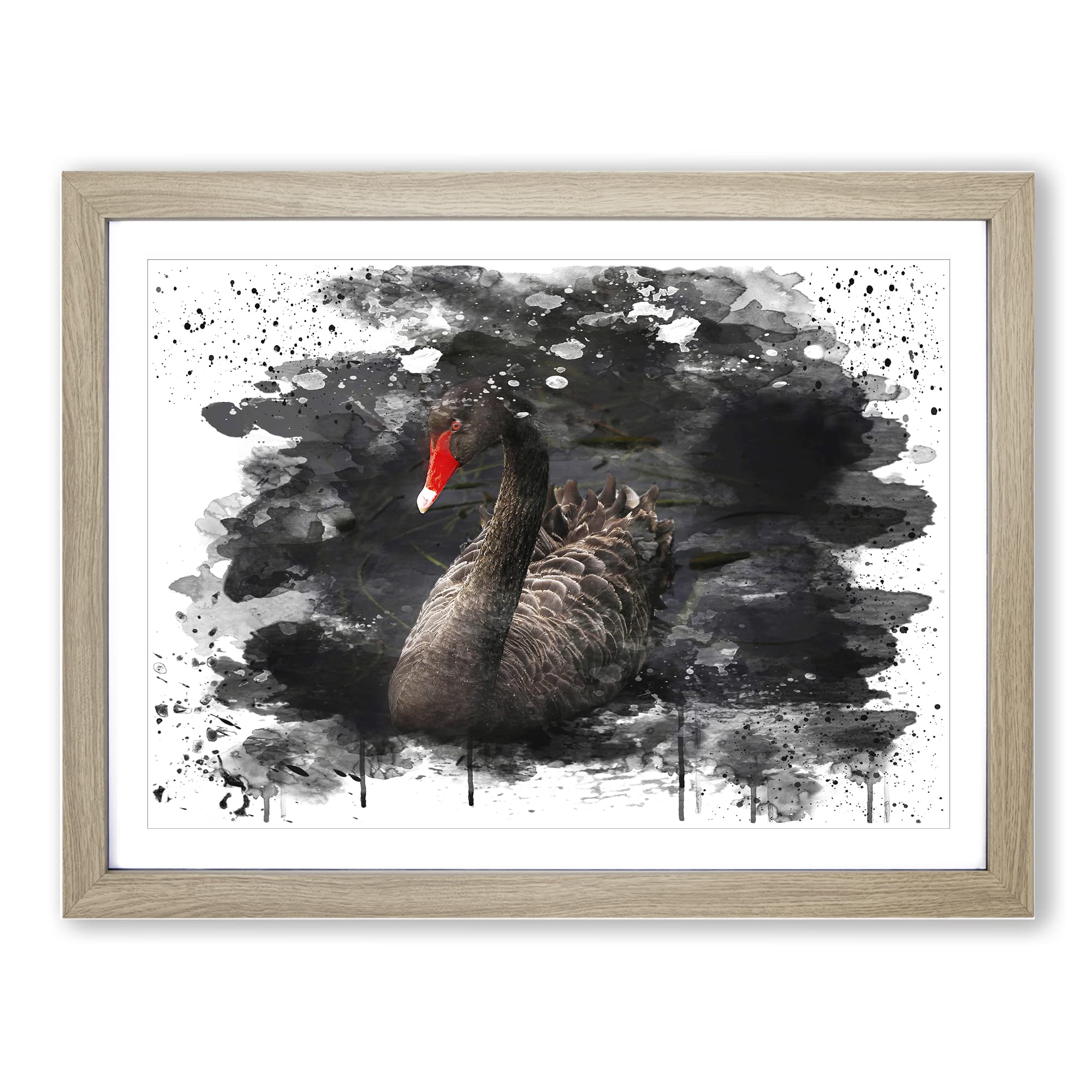 Black Swan V3 Modern Framed Print | A3 Oak Framed Wall Art | Ready to Hang | Modern Animal Picture | Living Room Bedroom Lounge Office