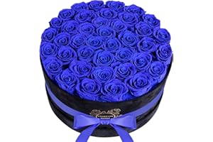 UFOREVER ROSES Luxury Preserved Roses in Suede Box - Flower Roses Gifts for Women, Valentines Day Flowers Mothers Day Roses - Birthday Flowers for Delivery Prime - 40 Pieces (Royal Blue)