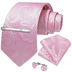 DiBanGu Silk Paisley Ties for Men Woven Necktie and