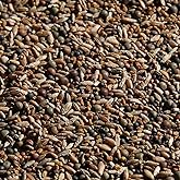 No-Till OverWinter Cover Crop Ten-Seed Mix (5-lb. Bag): [Austrian Winter Peas, Hairy Vetch, Daikon Radish, Forage Collards, Triticale, Wheat Rye, Berseem &amp; Crimson Clover, Yellow Mustard, Fenugreek]