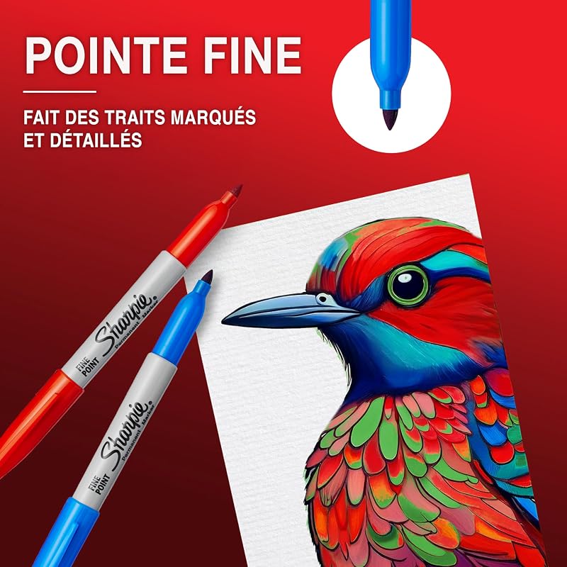 marqueurs indélébiles | pointe fine | encre noir permanent | Boîte de 12