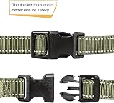 HEELE Reflective Dog Collar Neoprene Padded Nylon Small Army Green S 26-38cm view 4