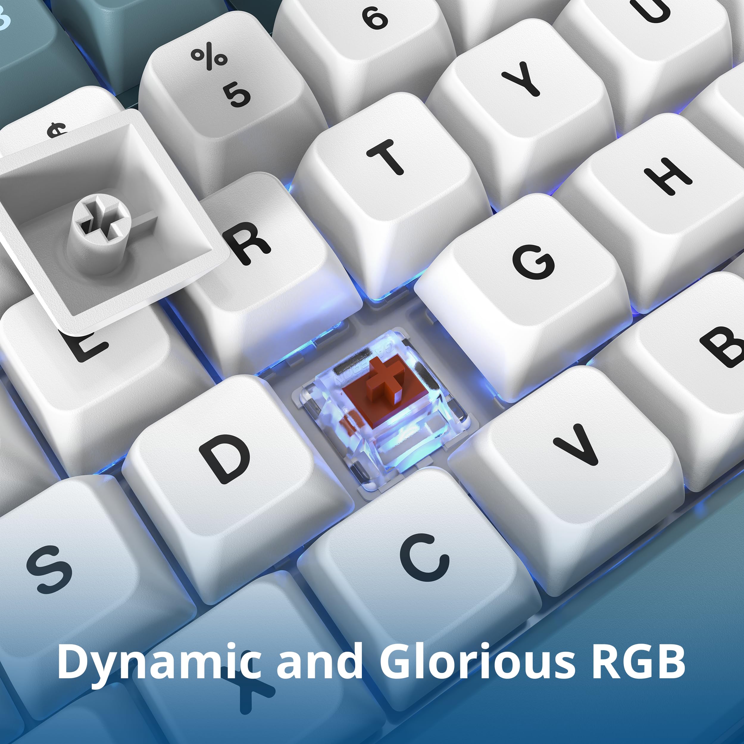 Montech MKey Mechanical Gaming Keyboard: Customizable RGB LED, Premium MDA Profile PBT Keycap, Hot-Swappable, Gateron G Brown Pro 2.0 Pre-lubed Switches, Osaka Castle Theme, Freedom (MK105FB)