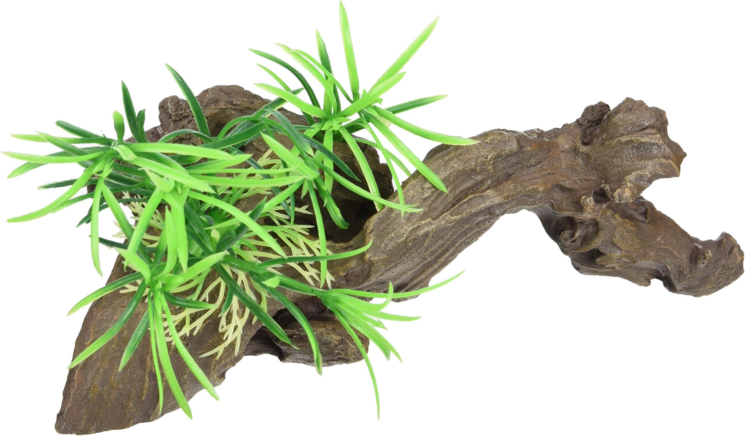 Lucky Reptile FW 5 Forest Wood Congo