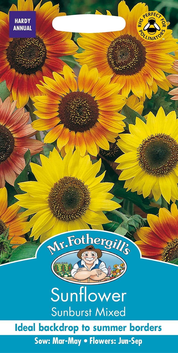 Mr. Fothergill's 24961 Sunburst Sunflower Seeds, mixed