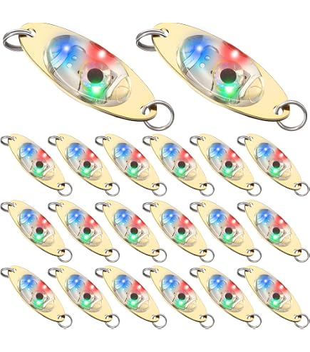 Amazon.com : Pack of 2 LED Fishing Lures, Underwater Night Light lamp,  Fish, Attractor, Fish Bait, Fishing Tackle : Sports & Outdoors