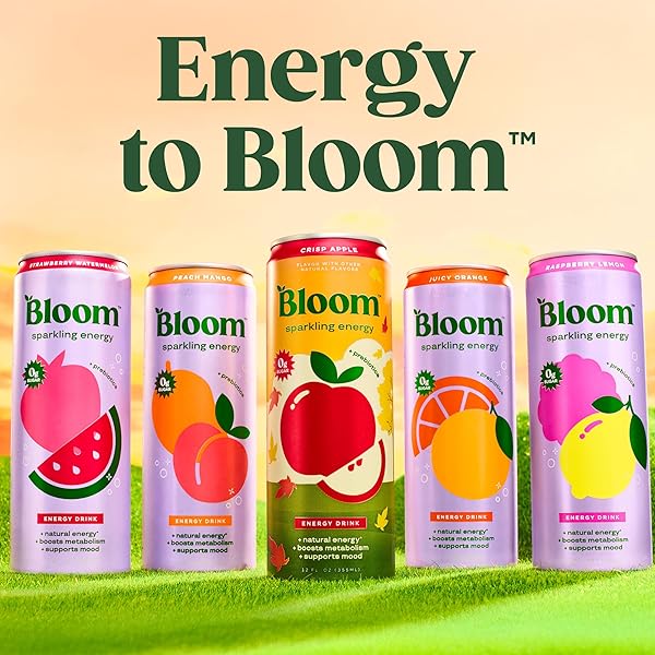 BLOOM NUTRITION SPARKLING ENERGY DRINK – NATURAL CAFFEINE, ZERO SUGAR, 180MG CAFFEINE – ANTIOXIDANT-RICH WITH GREEN COFFEE BEAN, GREEN TEA EXTRACT, PREBIOTICS – CRISP APPLE – 12OZ 12 PACK