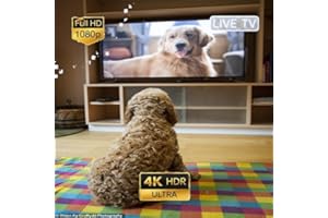 Dogs TV �C Calming Entertainment for Dogs For Fire TV