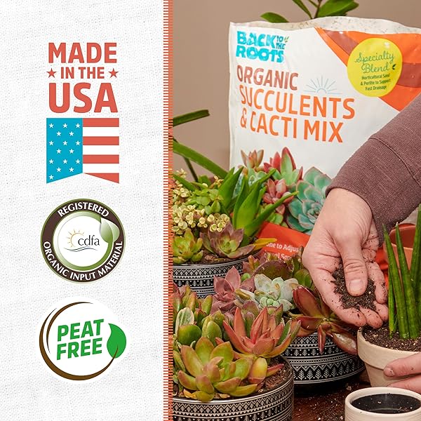 BACK TO THE ROOTS 100% ORGANIC SUCCULENT & CACTI MIX (6 QUART) | MADE IN THE USA | PREMIUM NUTRITION FOR INDOOR AND OUTDOOR PLANTS