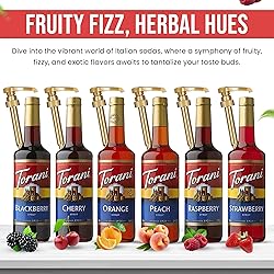 Jimoco Syrup Pump & Torani Syrup Bundle - Fruit