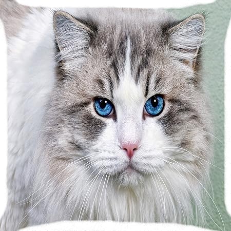 Coussin Plaid Taie Doreiller 18 Gris Bleu Blanc Yeux De