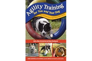 Agility Training for You and Your Dog: From Backyard Fun to High-Performance Training