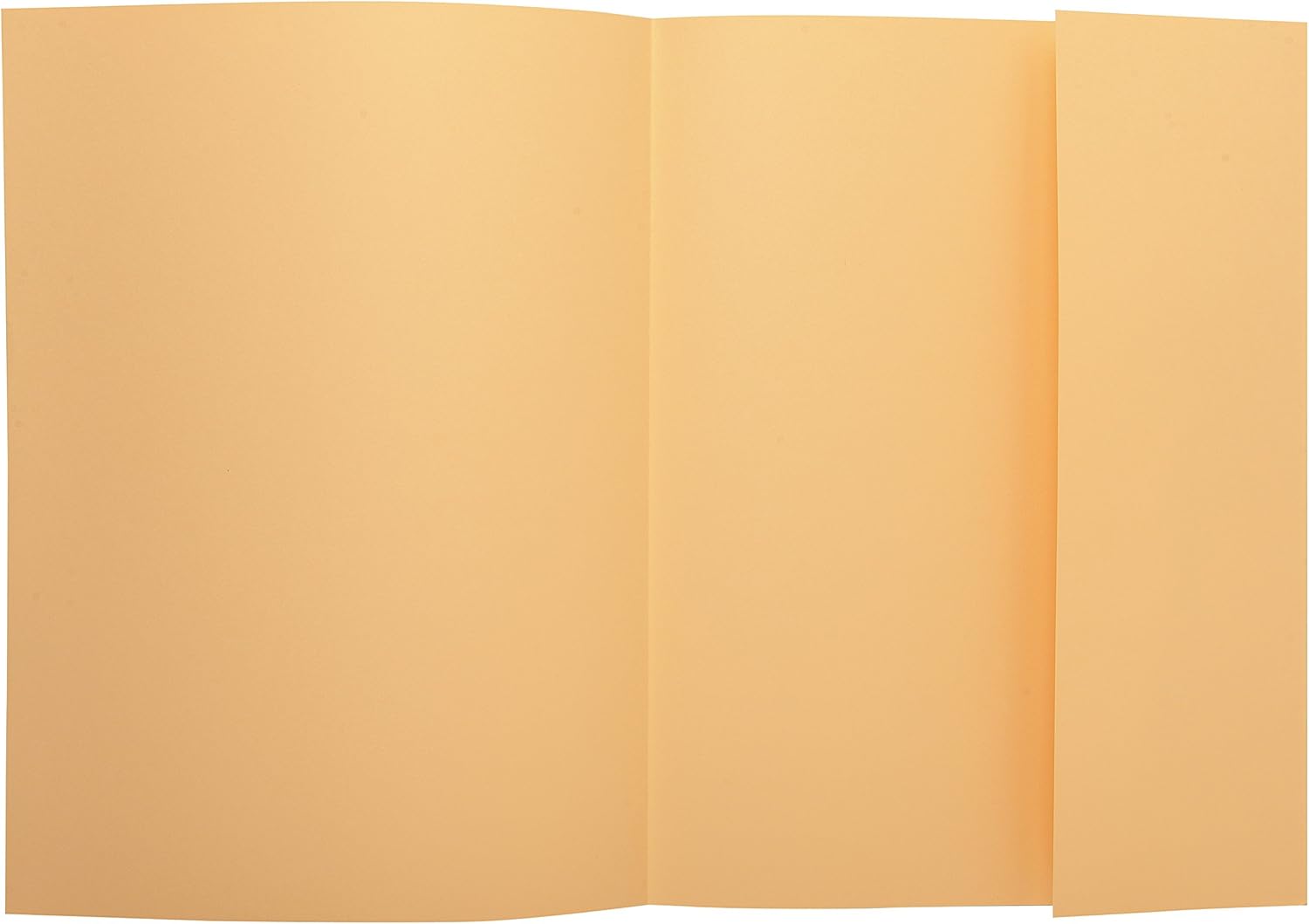 Exacompta, Ref 348025E, Super 210 1-Flap Folders, 240 x 320mm in Size, Suitable for Holding A4 Documents, 160gsm Card - Image 3