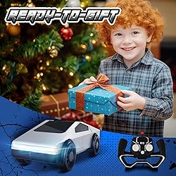Cheffun 1:24 RC Car Toys - All Terrain High Speed
