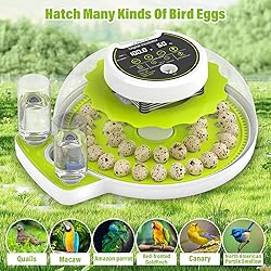 Quail Egg Incubator for Hatching 40 Quail Eggs with