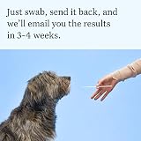 Wisdom Panel Essential Dog DNA Test Kit for Breed, Health & Traits view 6