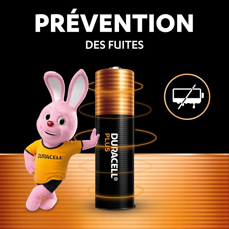 AAA Plus Piles Alcalines (Lot de 12) 1.5V, LR03