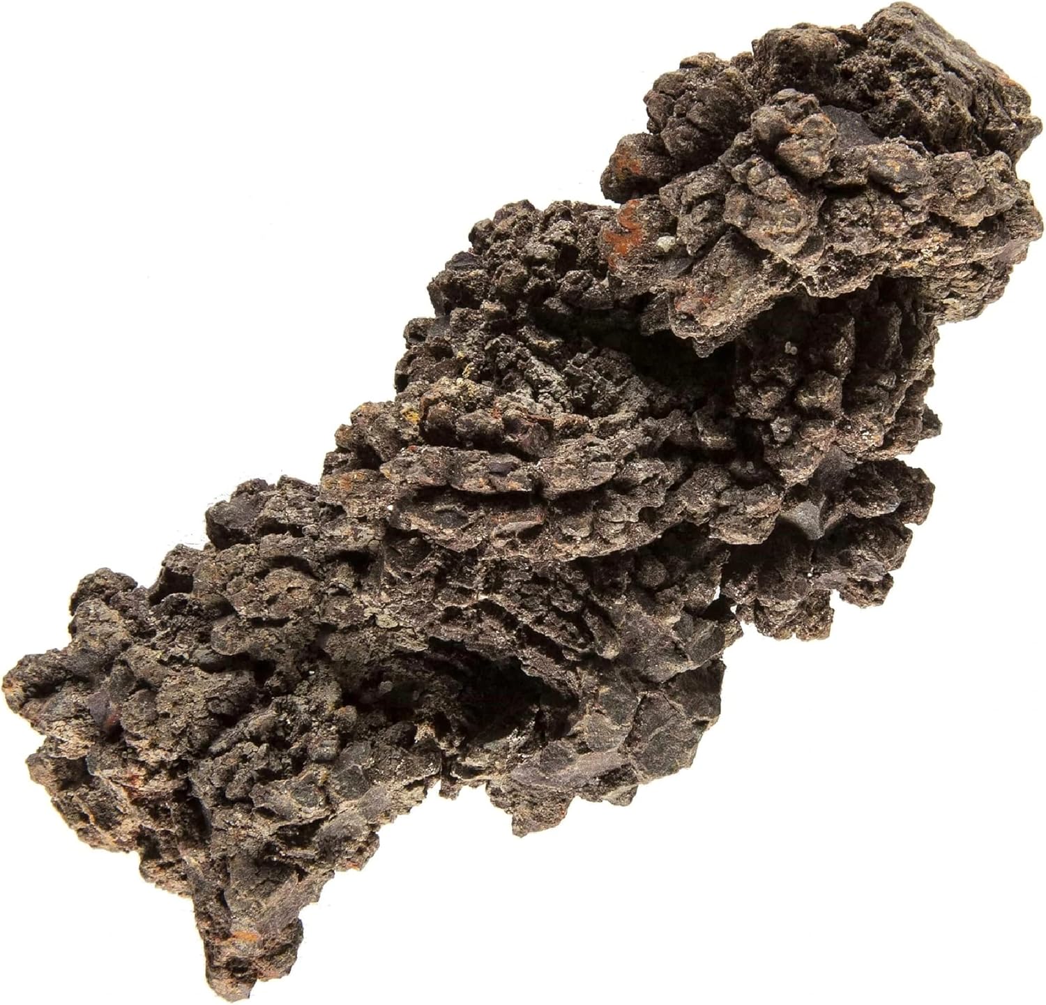 Indoor Fountains & Accessories - KALIFANO Authentic Prehistoric Dinosaur Coprolite Feces Trace Fossil - Fossilized Dinosaur Dung Poop Coprolite from Madagascar (Information Card Included)