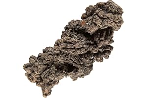 KALIFANO Authentic Prehistoric Dinosaur Coprolite Feces Trace Fossil - Fossilized Dinosaur Dung Poop Coprolite from Madagascar (Information Card Included)