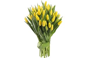 Blooms2Door Flowers - Mother's Day Collection - 50 Yellow Tulips (Farm-Fresh, Cut-to-Order and Homegrown in the USA). Gift for Anniversary, Get Well, Thank You, Valentine, Mother’s Day Flower